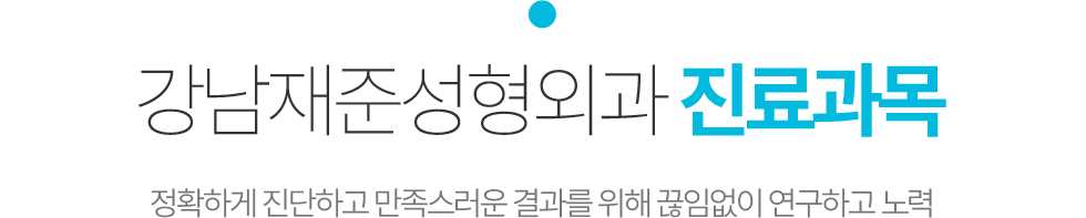 강남재준성형외과 진료과목