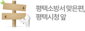 평택소방서 맞은편평택시청앞